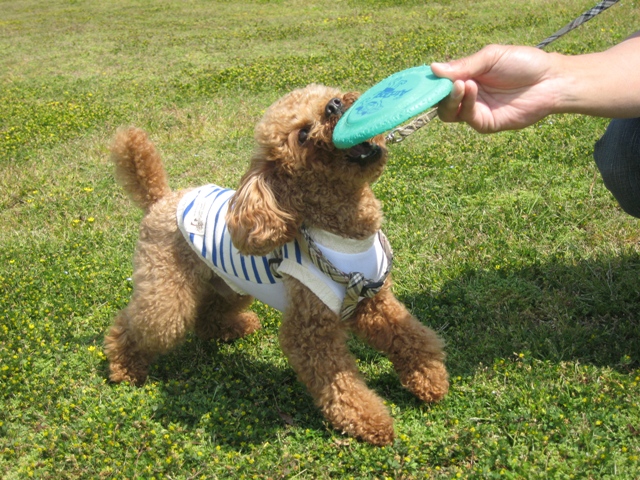 ファイル 466-1.jpg