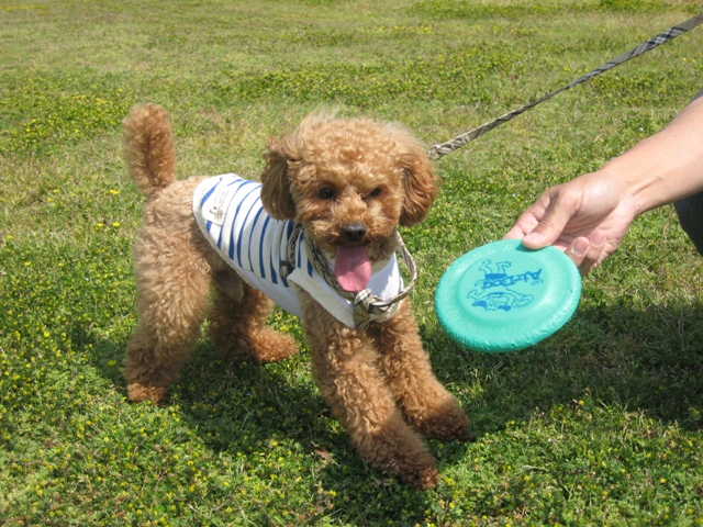 ファイル 466-2.jpg