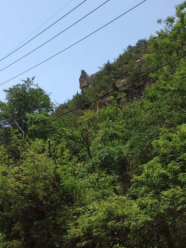 ファイル 471-2.jpg