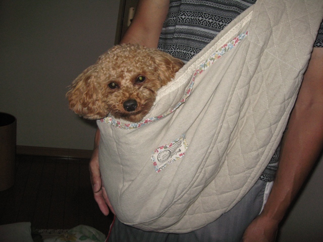 ファイル 474-2.jpg