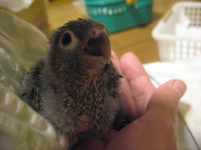 ファイル 480-1.jpg