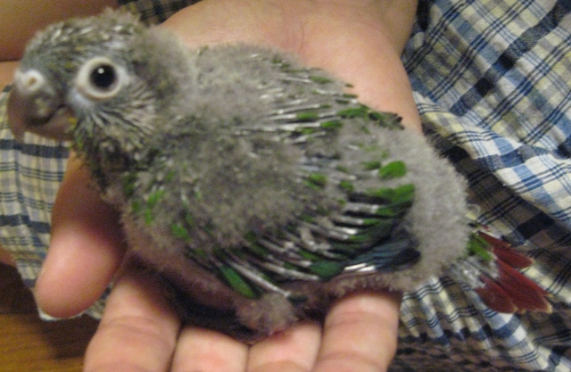 ファイル 480-2.jpg