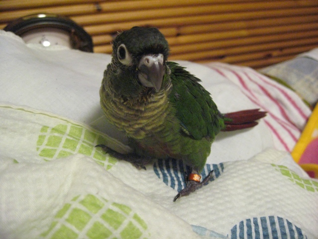 ファイル 482-1.jpg