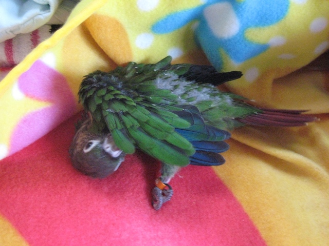 ファイル 482-2.jpg