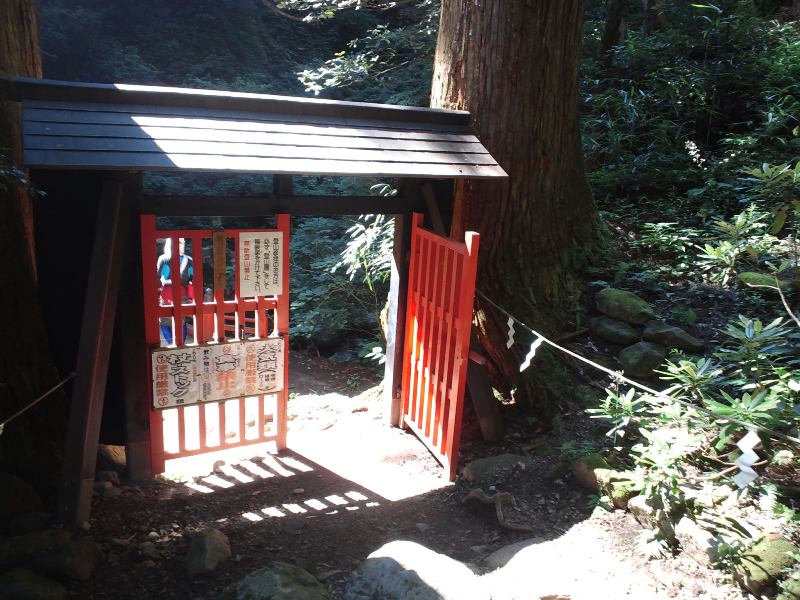 ファイル 487-1.jpg