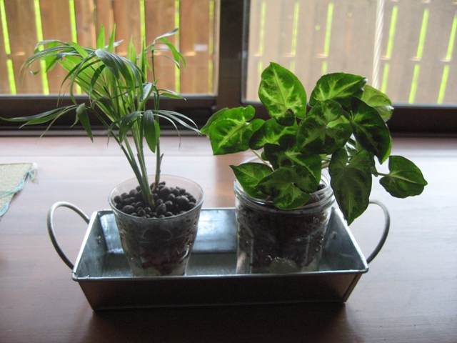 ファイル 489-1.jpg