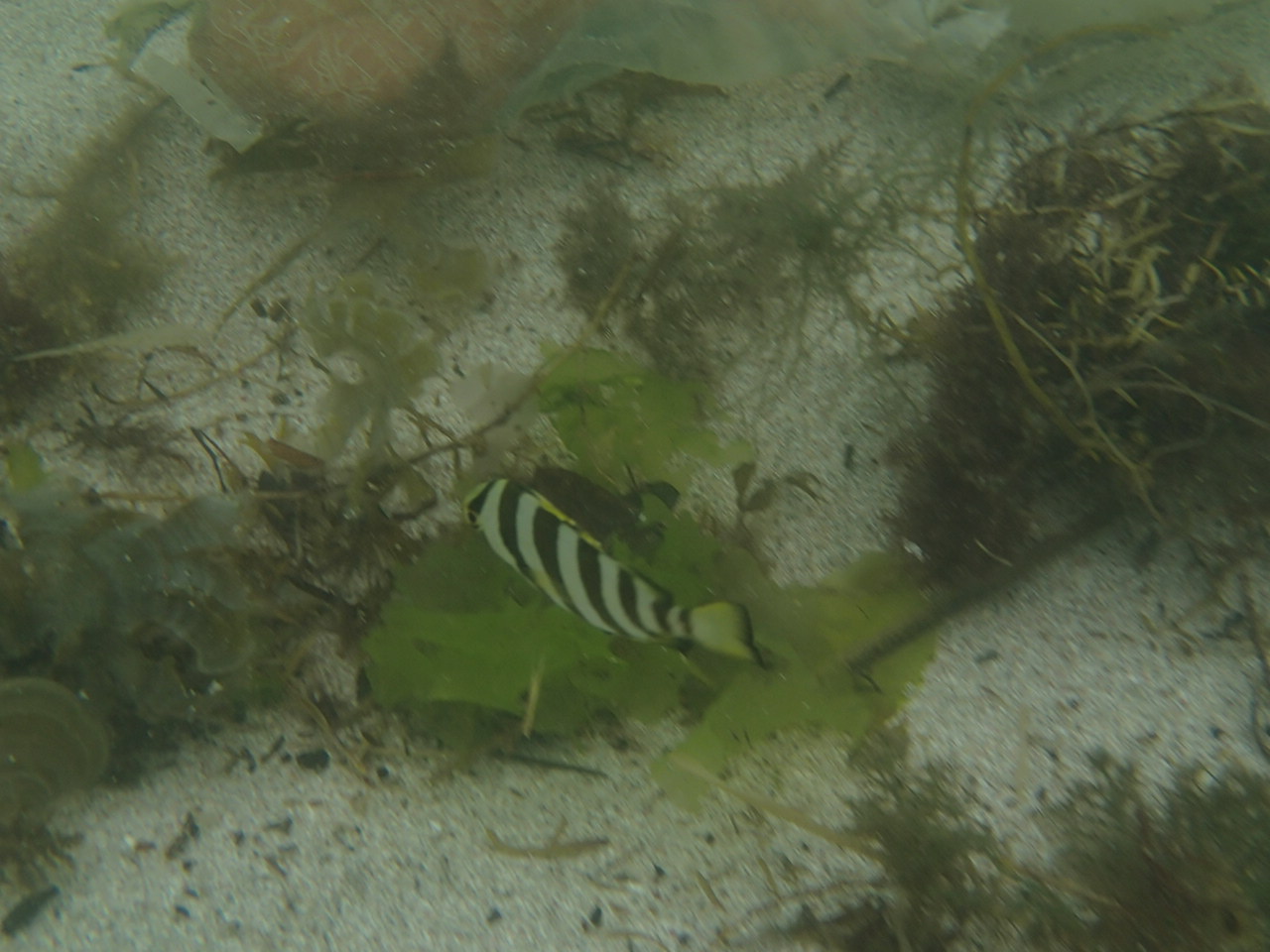 ファイル 491-4.jpg