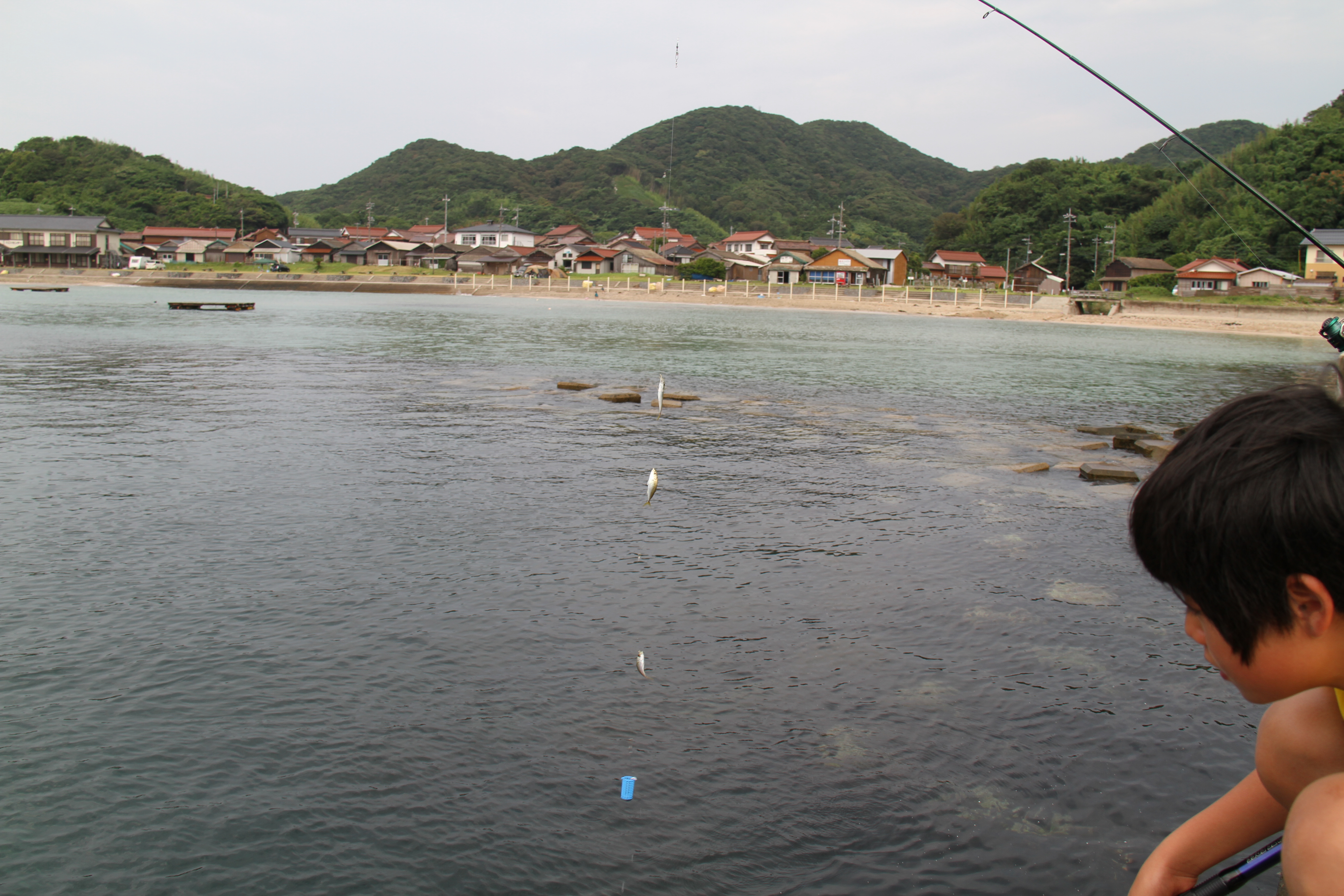 ファイル 492-2.jpg