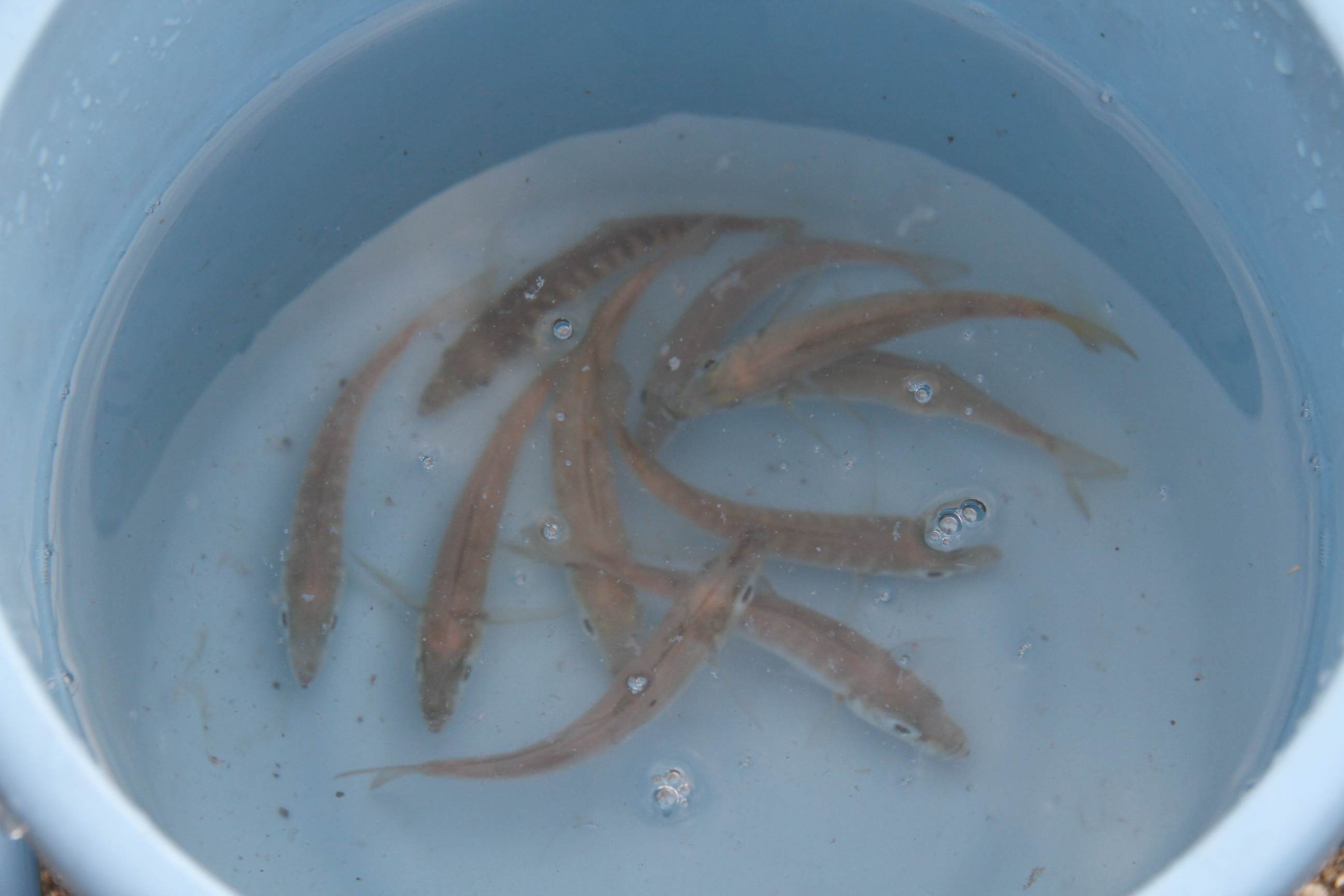 ファイル 492-3.jpg