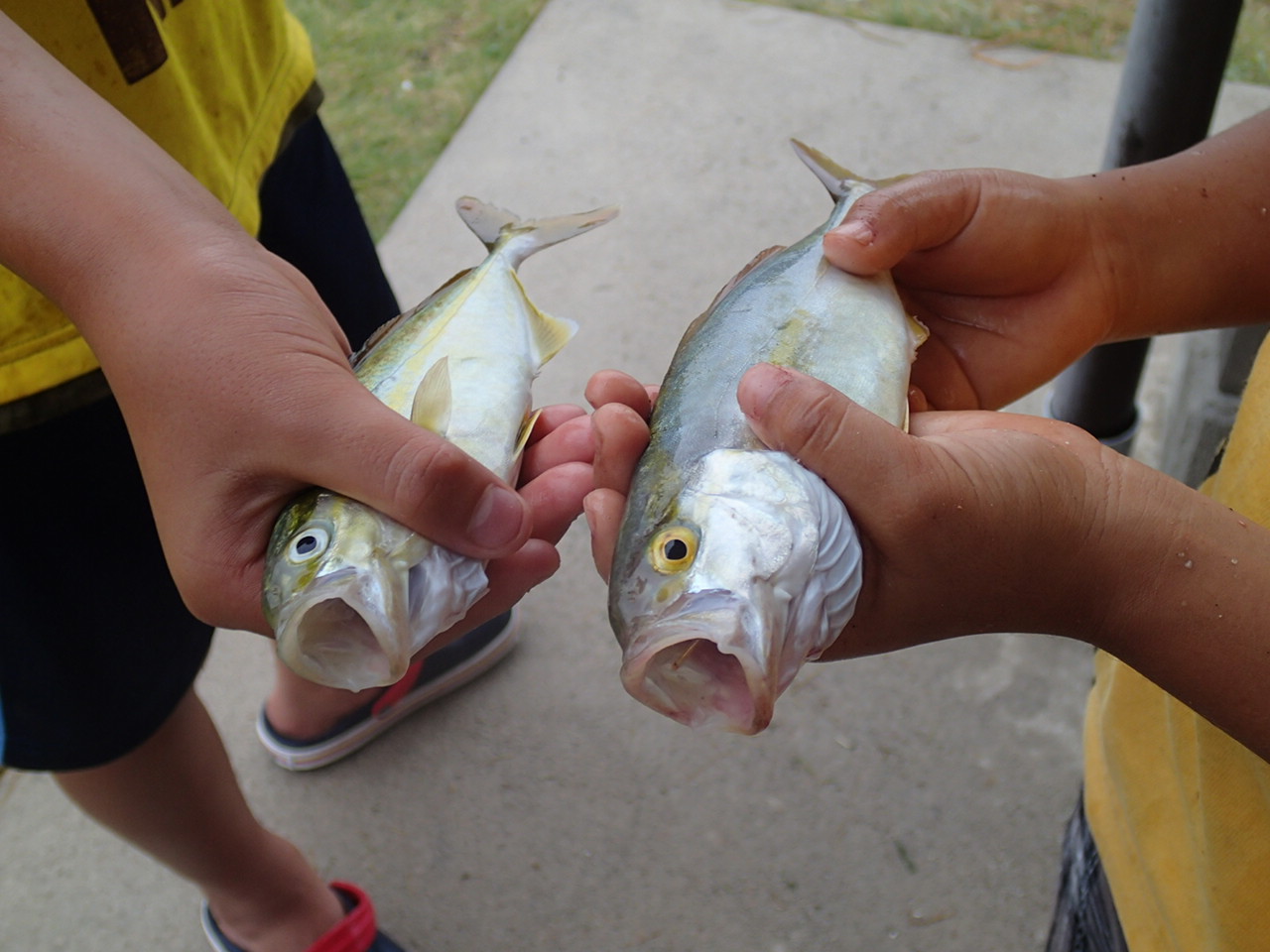 ファイル 492-4.jpg