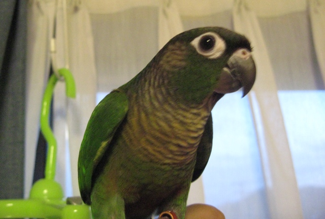 ファイル 497-1.jpg