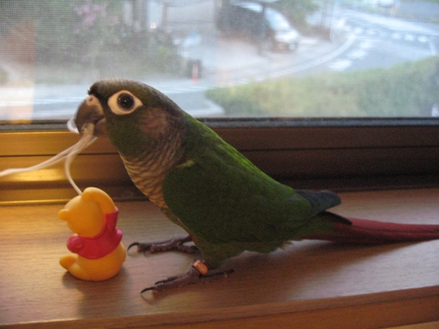 ファイル 497-2.jpg