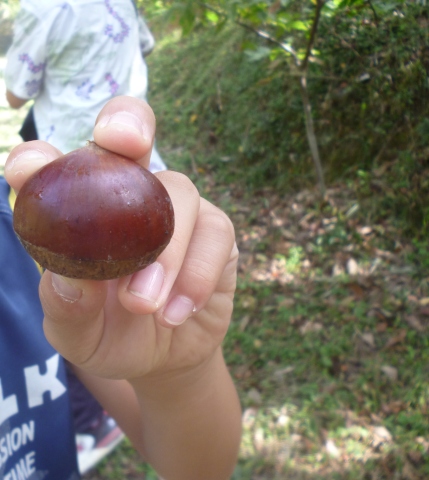 ファイル 499-3.jpg