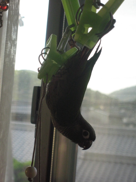 ファイル 502-1.jpg