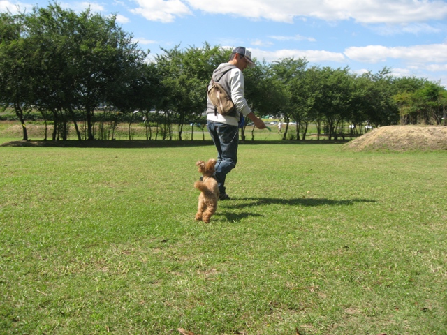 ファイル 505-2.jpg