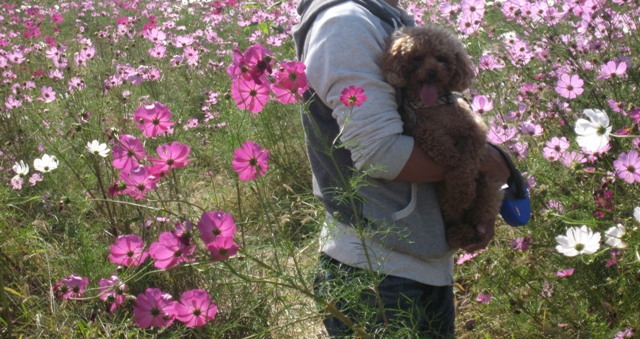 ファイル 505-3.jpg