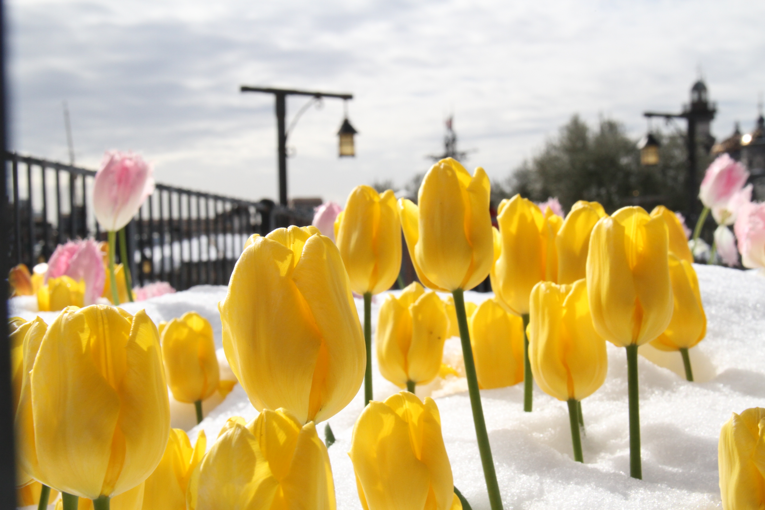 ファイル 536-3.jpg