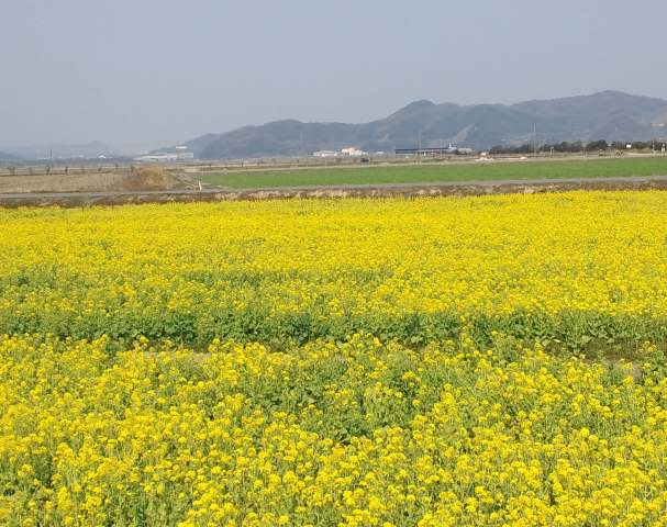 ファイル 546-2.jpg