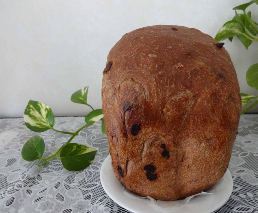 ファイル 553-1.jpg