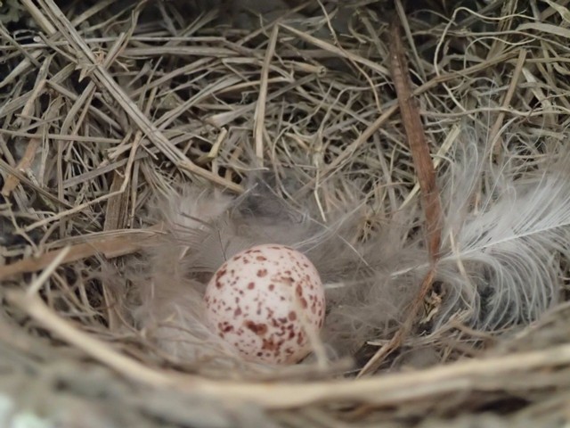 ファイル 559-2.jpg