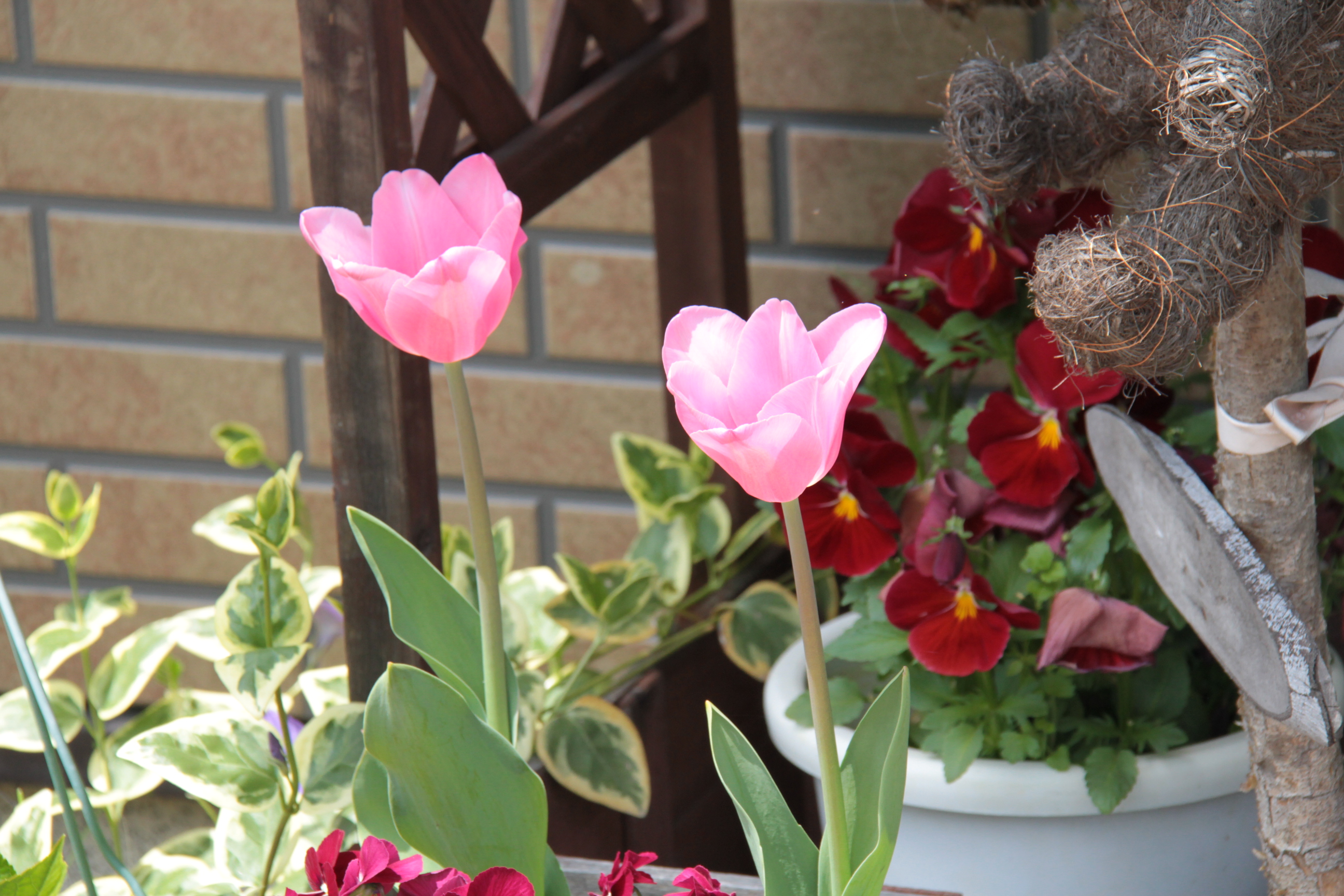 ファイル 560-2.jpg