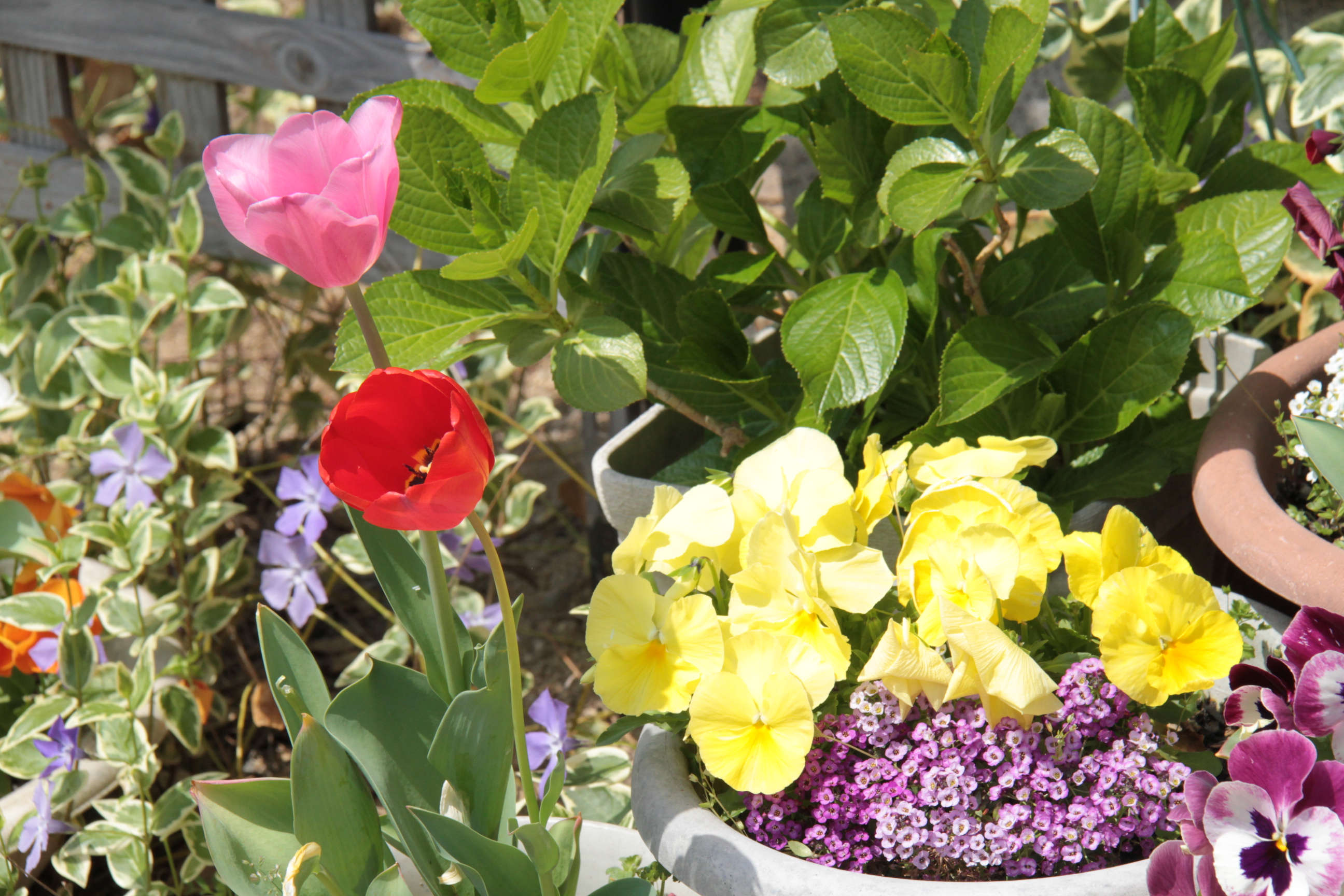 ファイル 560-3.jpg