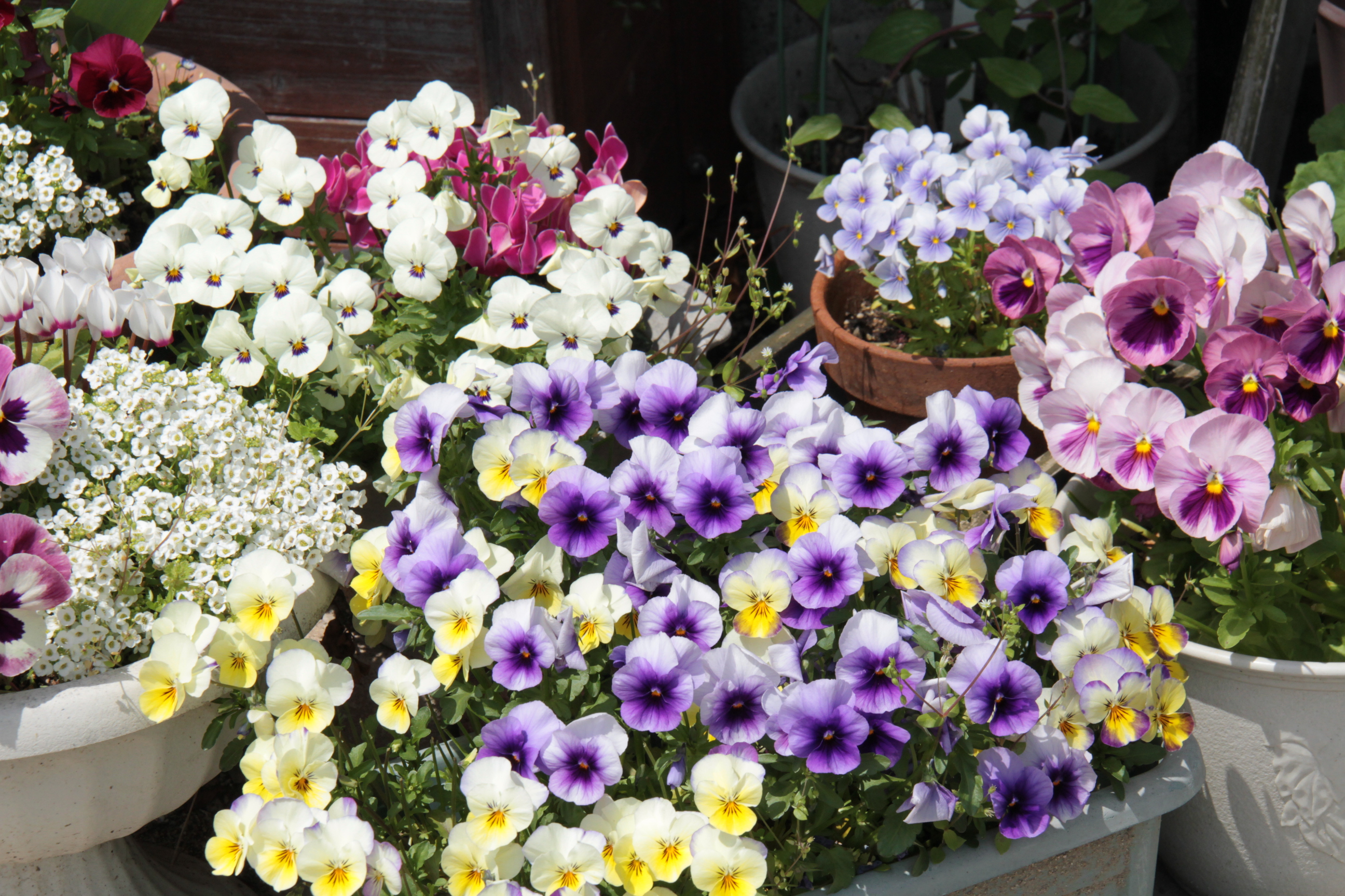 ファイル 560-4.jpg