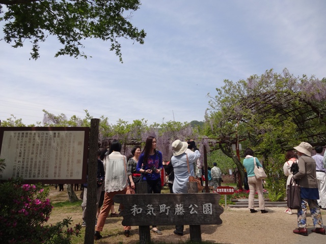 ファイル 562-1.jpg