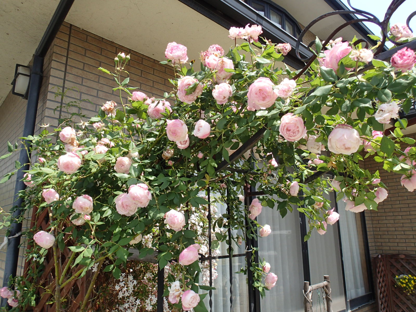 ファイル 566-3.jpg