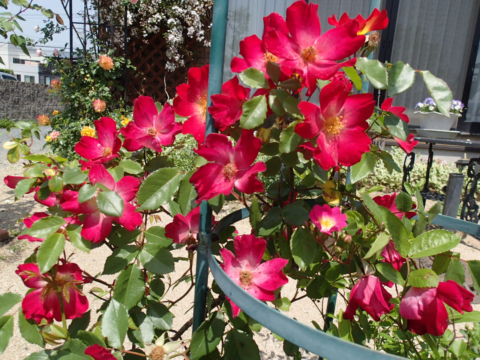 ファイル 566-5.jpg