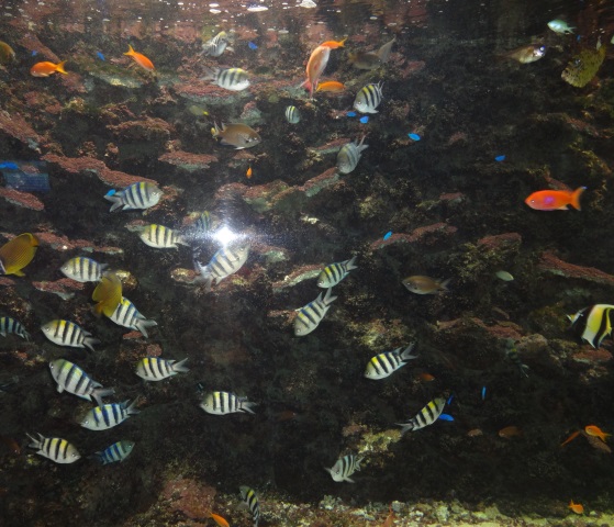 ファイル 580-2.jpg