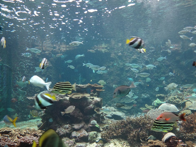 ファイル 580-3.jpg