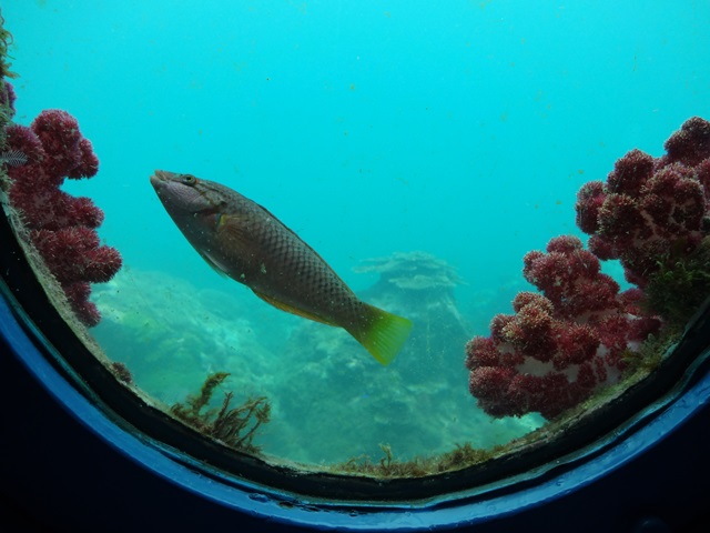 ファイル 580-5.jpg