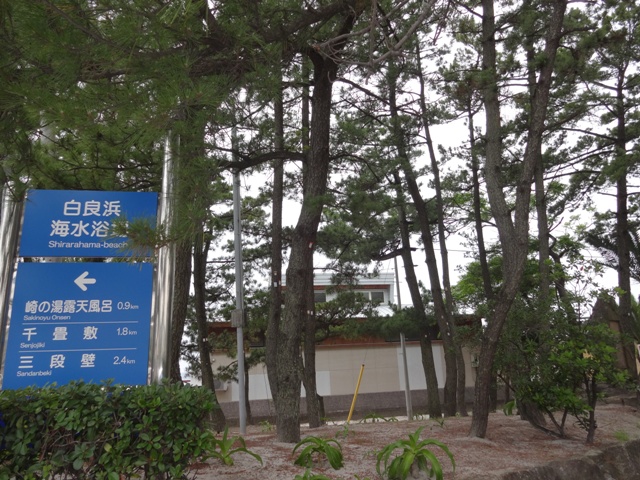 ファイル 581-1.jpg