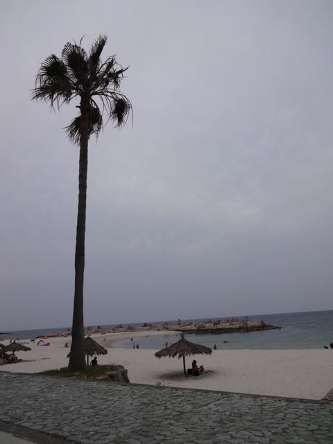 ファイル 581-3.jpg