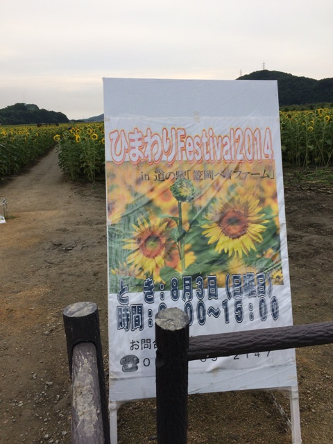 ファイル 584-1.jpg