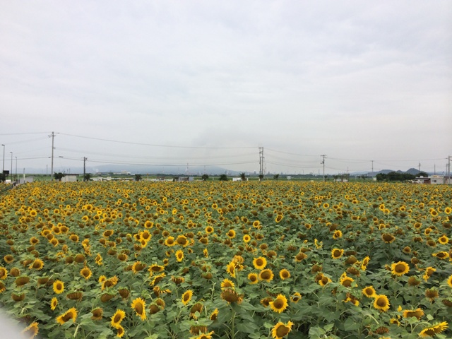 ファイル 584-3.jpg