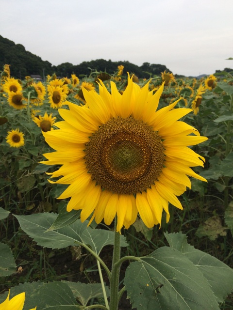 ファイル 584-4.jpg