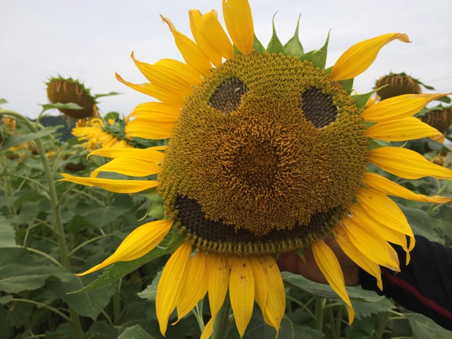 ファイル 584-5.jpg