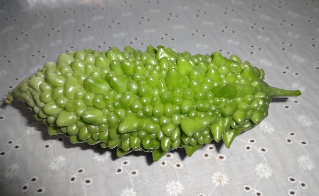 ファイル 586-1.jpg