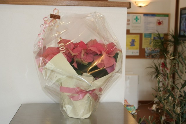 ファイル 59-3.jpg