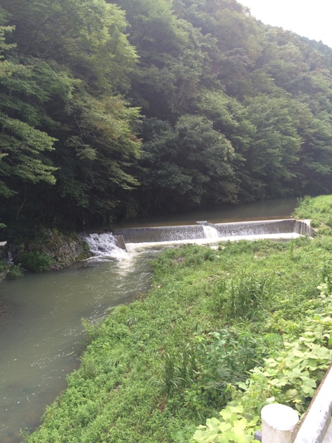 ファイル 601-3.jpg