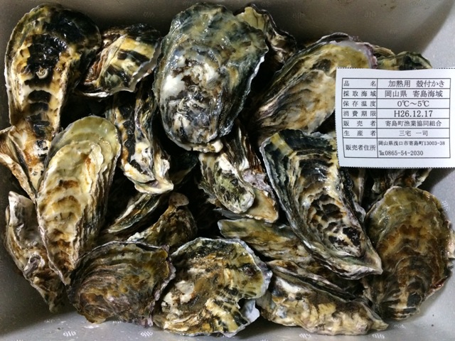 ファイル 625-2.jpg