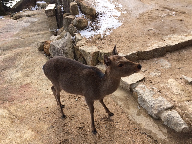 ファイル 628-2.jpg