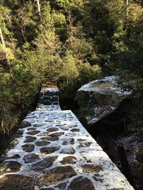 ファイル 629-1.jpg