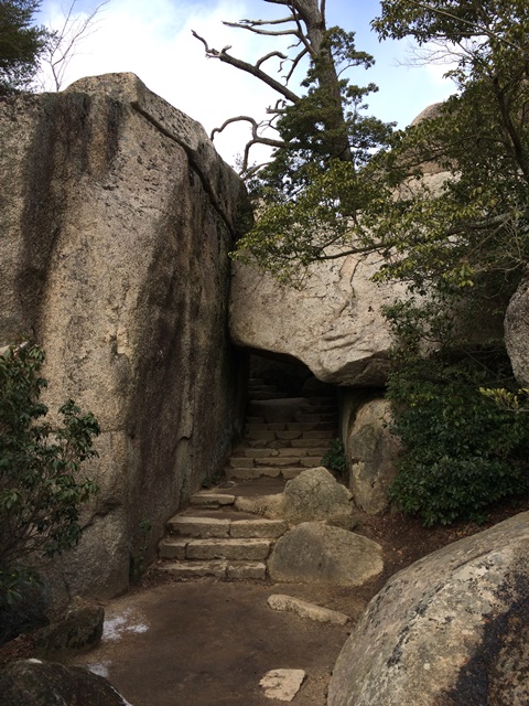 ファイル 629-2.jpg