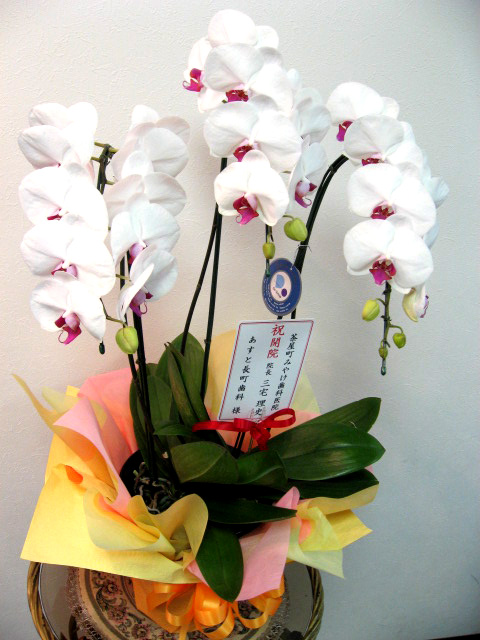 ファイル 63-1.jpg