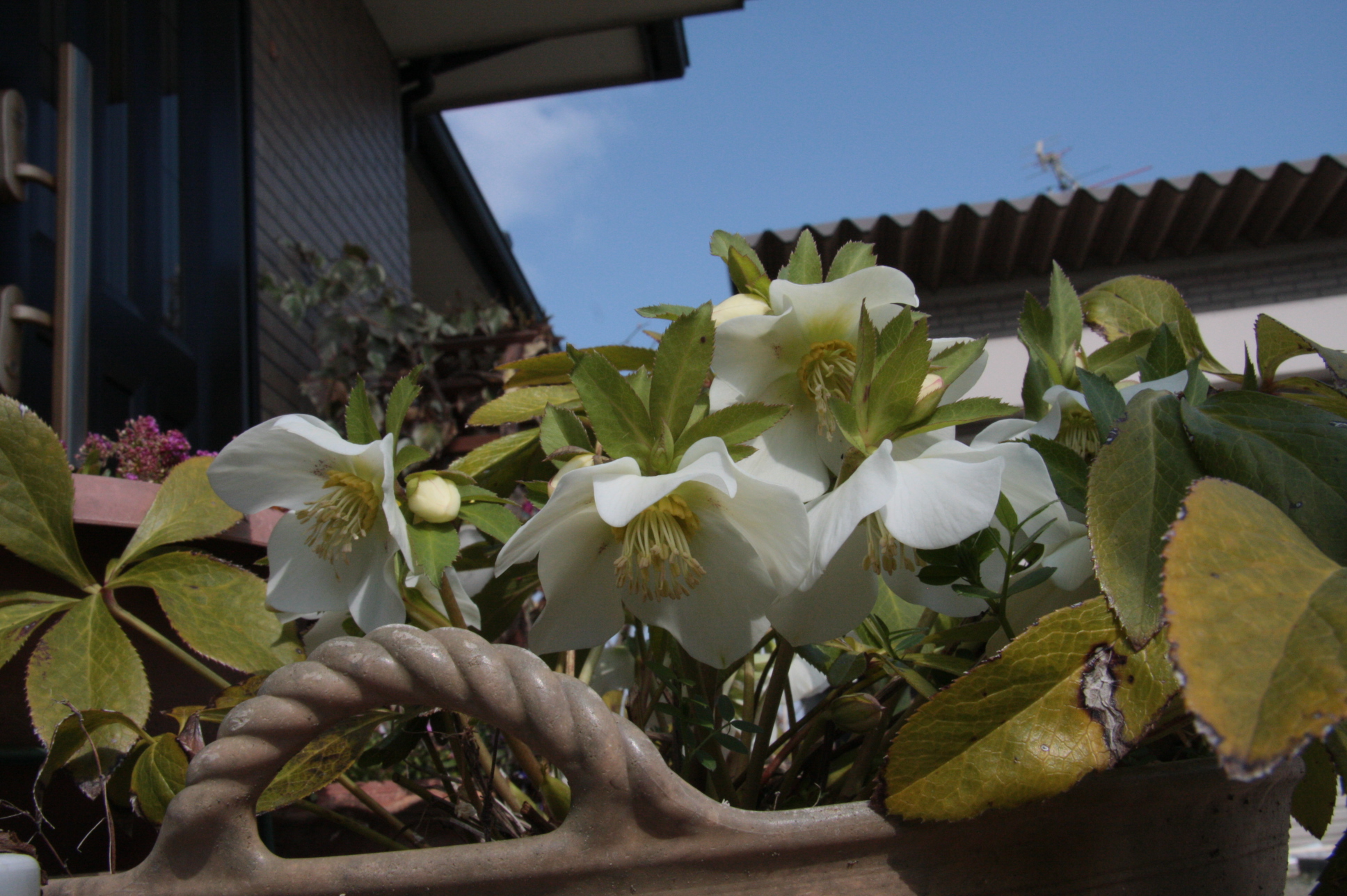 ファイル 640-1.jpg