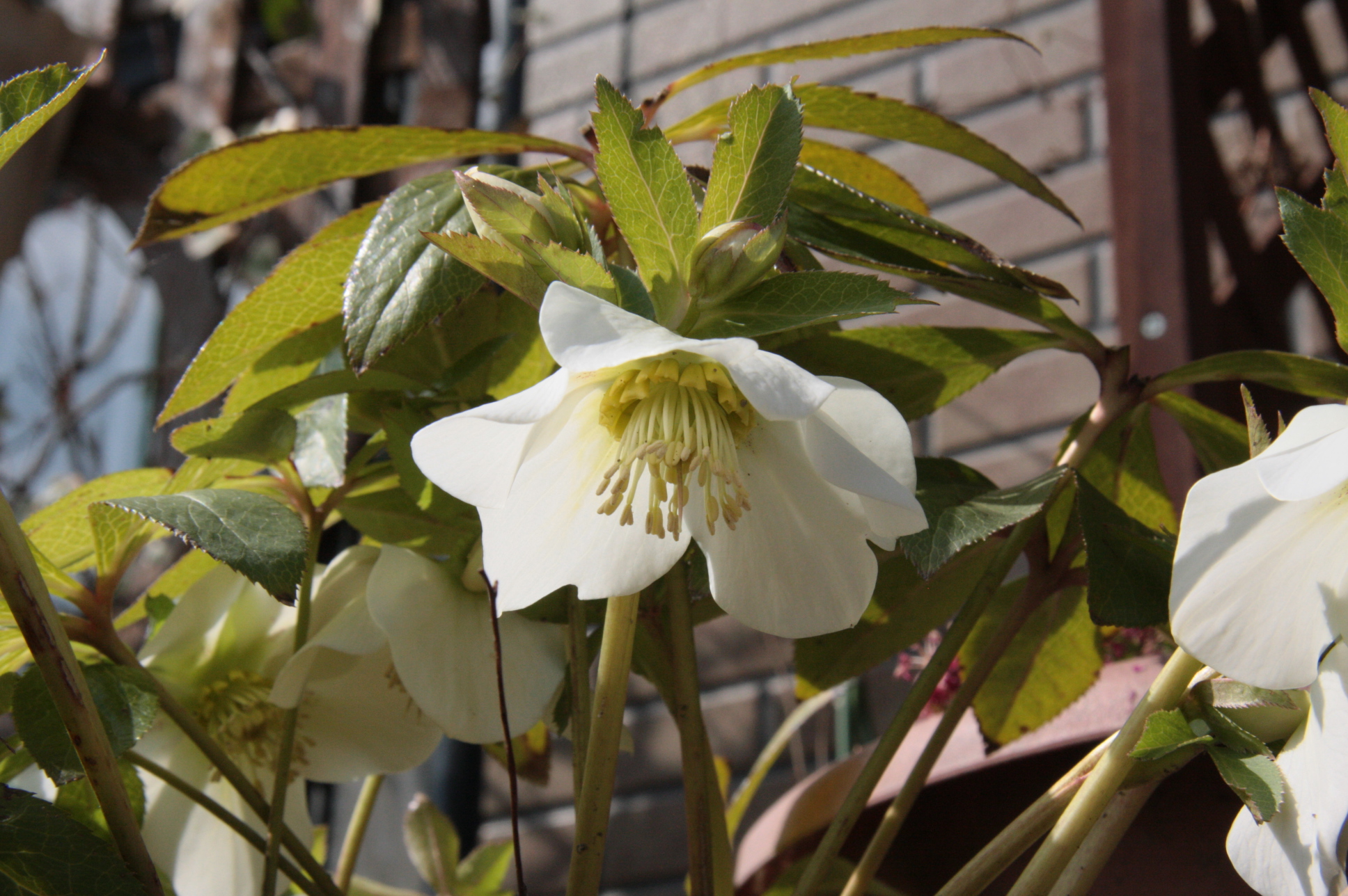 ファイル 640-2.jpg