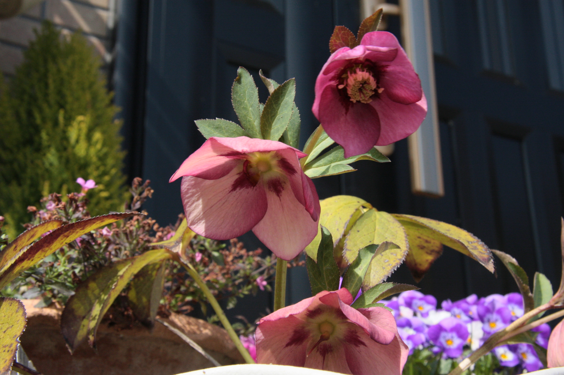 ファイル 640-3.jpg